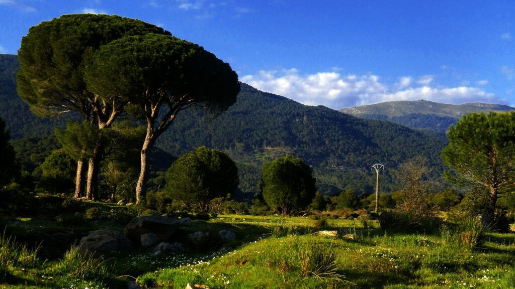 sotillo de la adrada